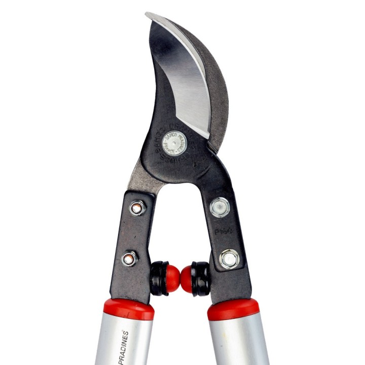 Ebrancheur professionnel arboriculteur Bahco P160-SL-75, longueur 75 cm