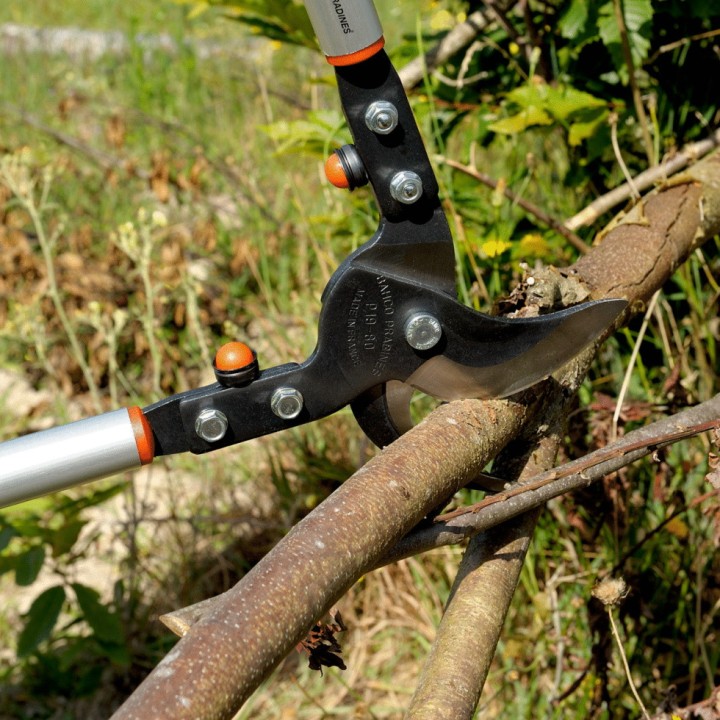 Elagueur ébrancheur Bahco P19-80-F