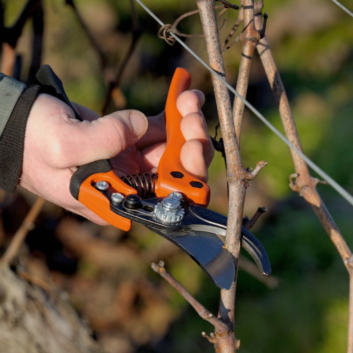 Sécateur ergonomique à poignée fixe Bahco PX