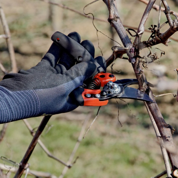 Sécateur ergonomique à poignée tournante Bahco PXR