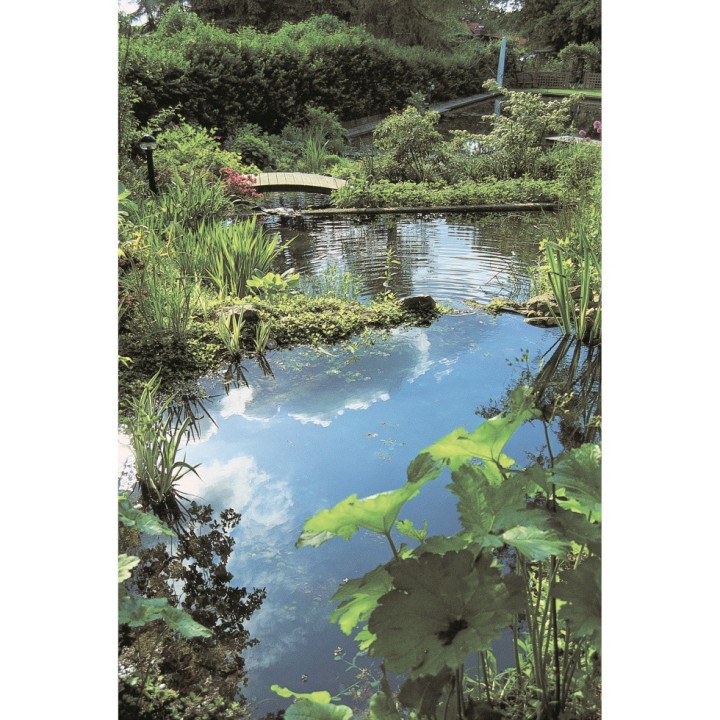 Bassin Océan II Ubbink