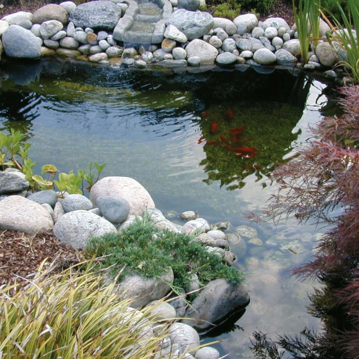 Bassin Neptun Ubbink