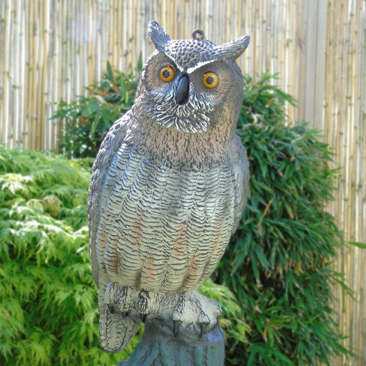 Hibou Ubbink - H 59 cm