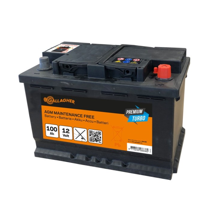 Batterie Premium Turbo AGM 12V/100Ah - 353 x 175 x 190 Gallagher