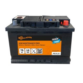 Batterie Premium Turbo AGM 12V/75Ah - 278 x 175 x 190 Gallagher