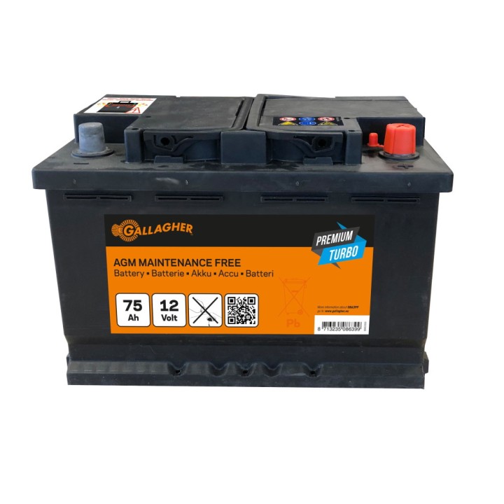 Batterie Premium Turbo AGM 12V/75Ah - 278 x 175 x 190 Gallagher