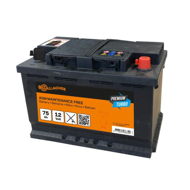 Batterie Premium Turbo AGM 12V/75Ah - 278 x 175 x 190 Gallagher