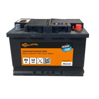 Batterie Premium Turbo AGM 12V/60Ah - 242 x 175 x 190 Gallagher