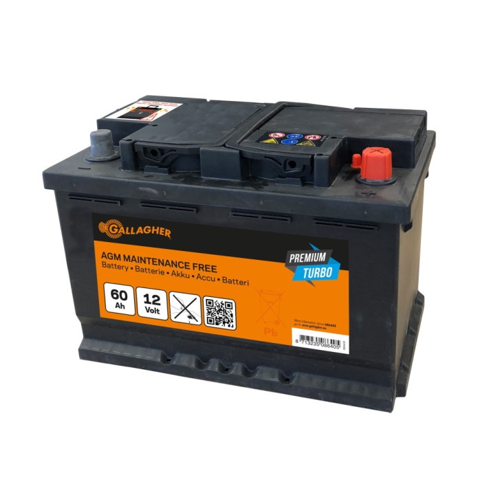 Batterie Premium Turbo AGM 12V/60Ah - 242 x 175 x 190 Gallagher