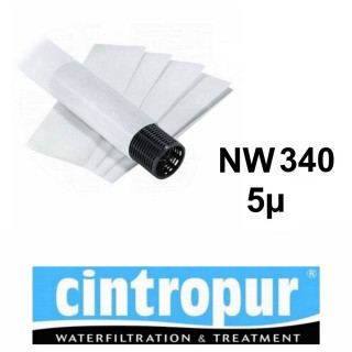 Tamis filtrant C4-5 Calpeda pour filtre semi-industriel NW340 - Filtration 5µ (sachet 5 pièces)