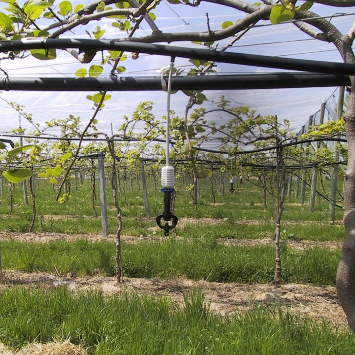 Micro-asperseur SUPERNET NETAFIM 50 l/h tête en bas courte portée