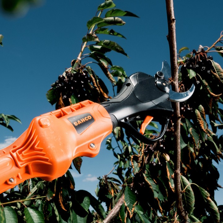 Perche télescopique Bahco BCL25TP pour sécateur BCL25IB