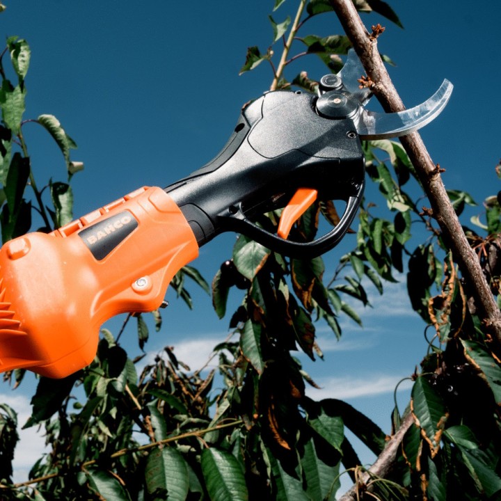 Perche télescopique Bahco BCL25TP pour sécateur BCL25IB
