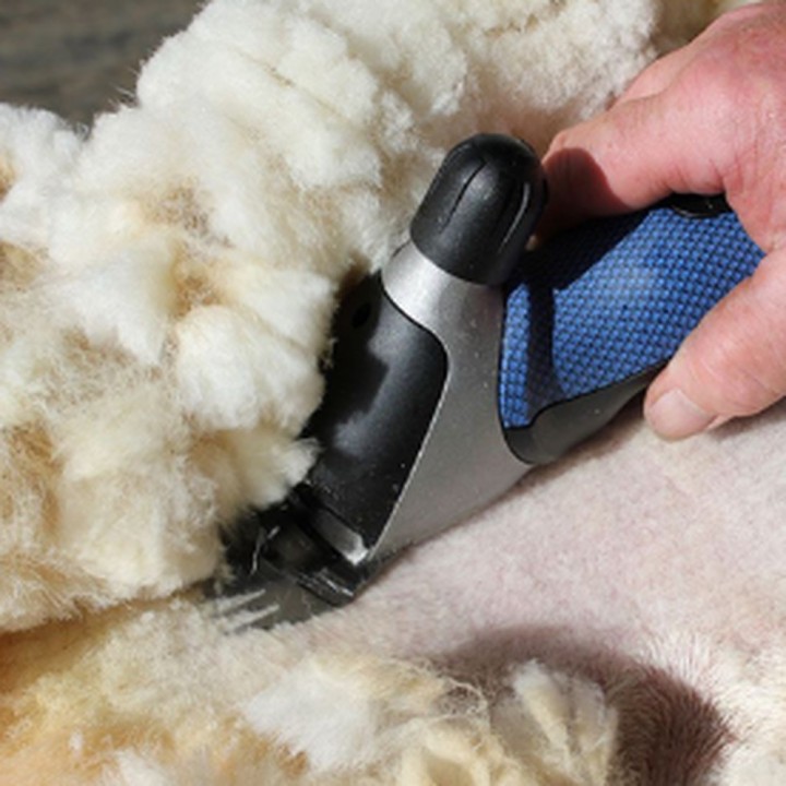 Tondeuse filaire Xpert 2-Speed Heiniger + 1 jeu de couteaux 714-000 - pour moutons,alpagas,lamas
