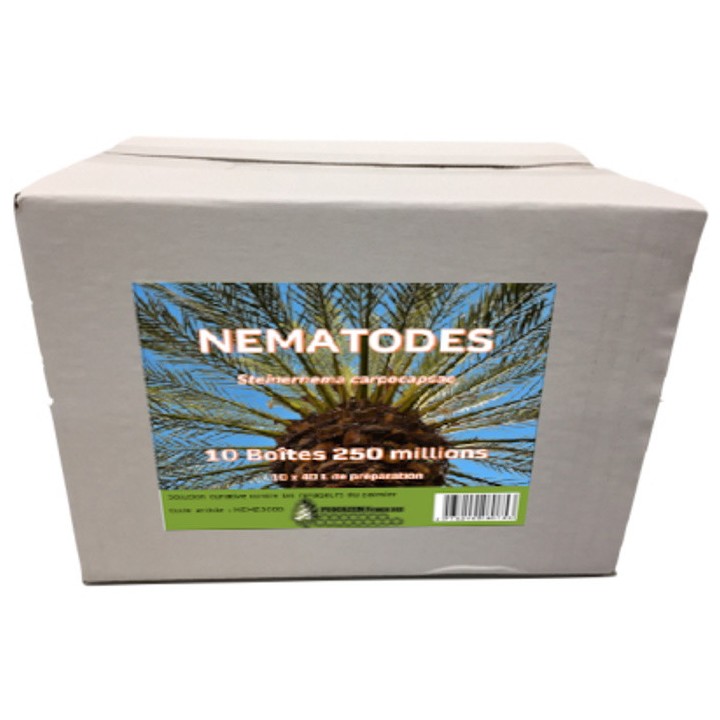 Nématodes contre les ravageurs des palmiers
