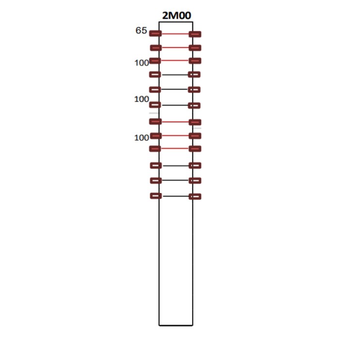 Piquet Vigne de Tête LONNEO T01 Galva Z275 ép. 2 mm - Long. 2 m - A l'unité