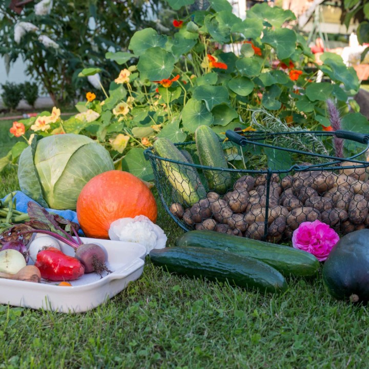 Kit irrigation goutte à goutte Netafim, pour massif et potager 30 m²