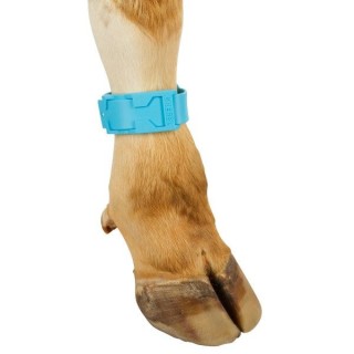 Bracelet de marquage bleu 37 cm Kerbl