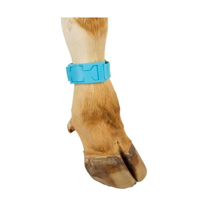 Bracelet de marquage bleu 37 cm Kerbl
