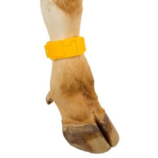 Bracelet de marquage jaune 37 cm Kerbl
