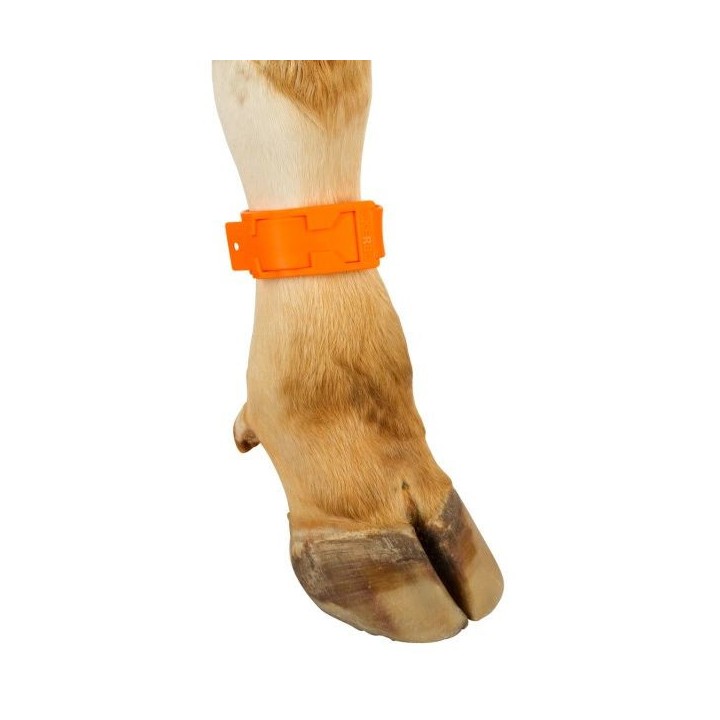 Bracelet de marquage orange 37 cm Kerbl
