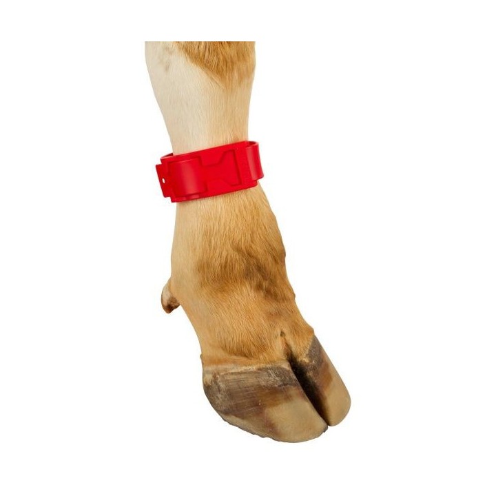 Bracelet de marquage rouge 37 cm Kerbl