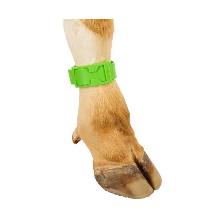 Bracelet de marquage vert 37 cm Kerbl