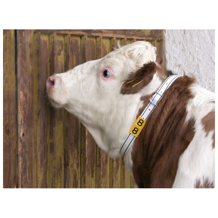 Collier de marquage blanc et noir pour bovins Kerbl