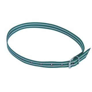 Collier de marquage vert et blanc pour bovins Kerbl