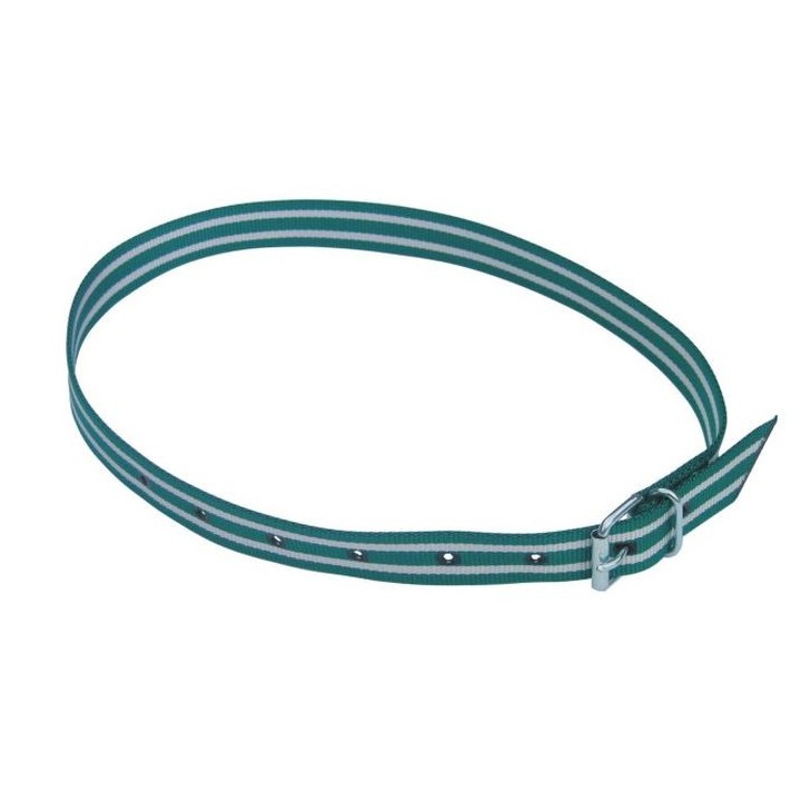 Collier de marquage vert et blanc pour bovins Kerbl