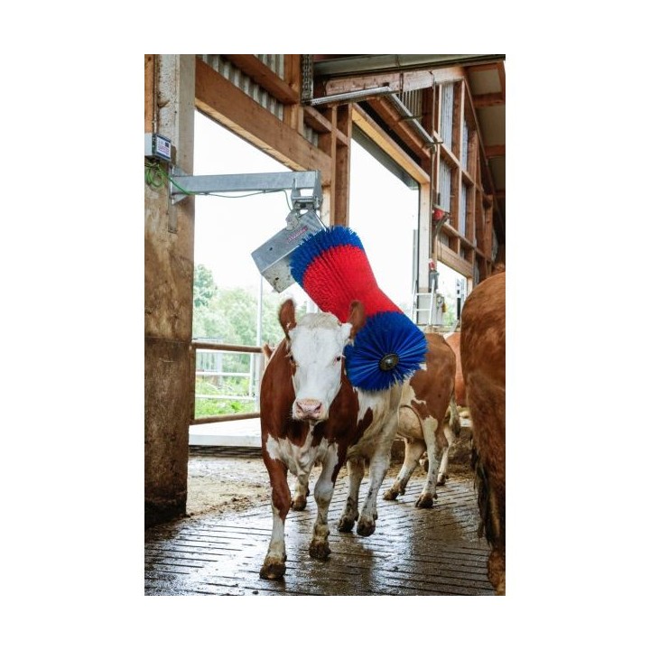 Brosse à vaches 550 W HappyCow MaxiSwing
