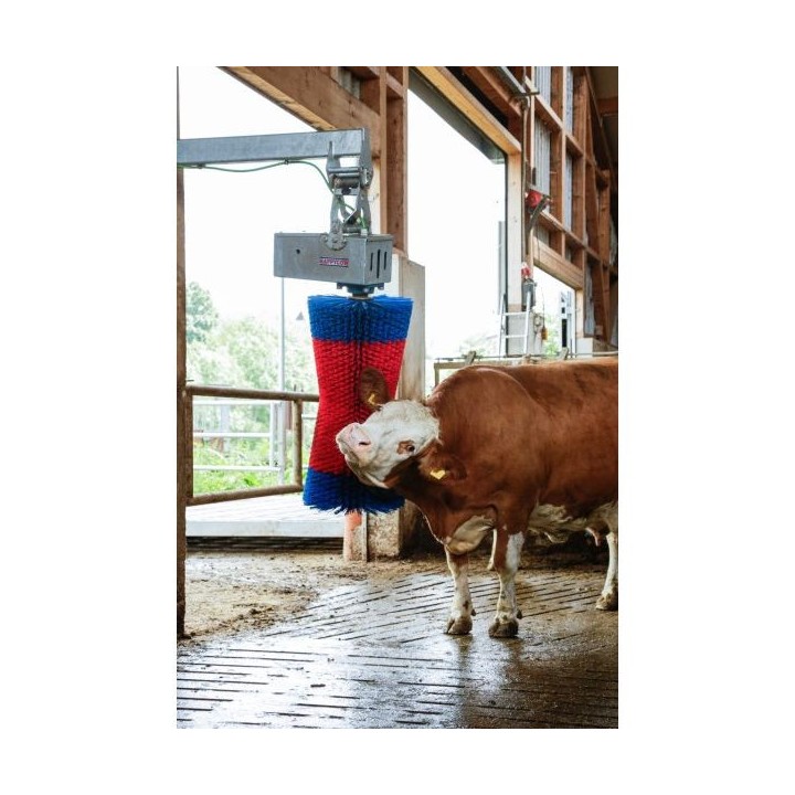 Brosse à vaches 550 W HappyCow MaxiSwing