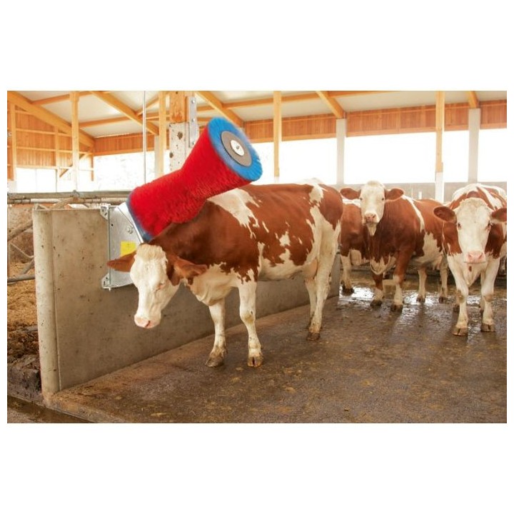 Brosse à vaches en polypropylène 370 W HappyCow Uno