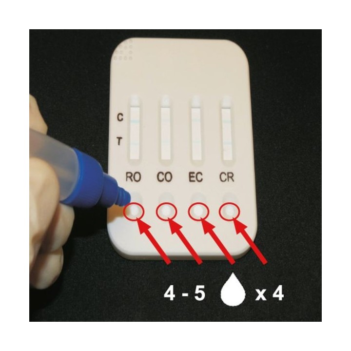 Test diarrhée pour bovins et veaux - 5 pièces Kerbl