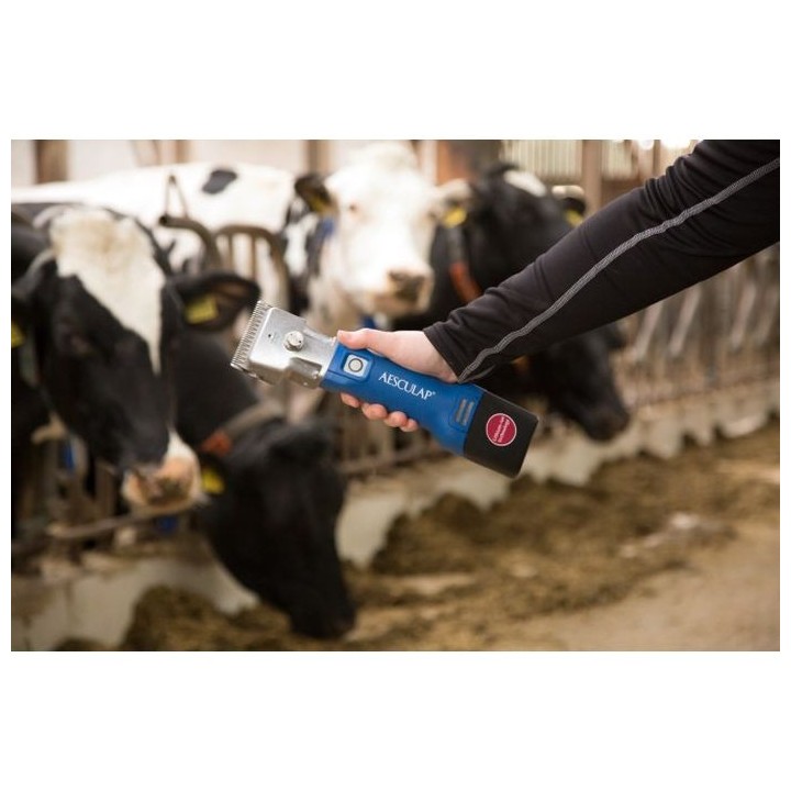 Tondeuse sur batterie pour bovins Econom CL bleu - 1 batterie Aesculap