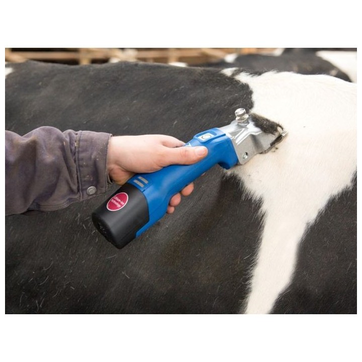 Tondeuse sur batterie pour bovins Econom CL bleu - 1 batterie Aesculap