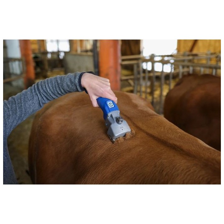 Tondeuse sur batterie pour bovins Econom CL bleu - 1 batterie Aesculap