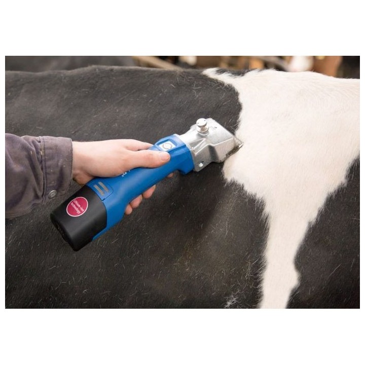 Tondeuse sur batterie pour bovins Econom CL bleu - 1 batterie Aesculap
