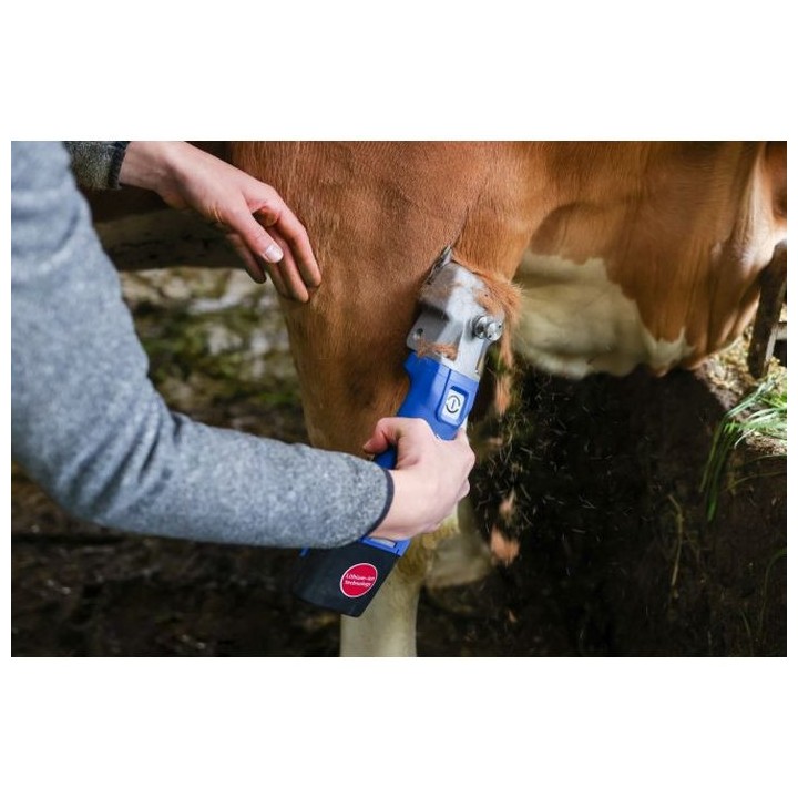 Tondeuse sur batterie pour bovins Econom CL bleu - 1 batterie Aesculap