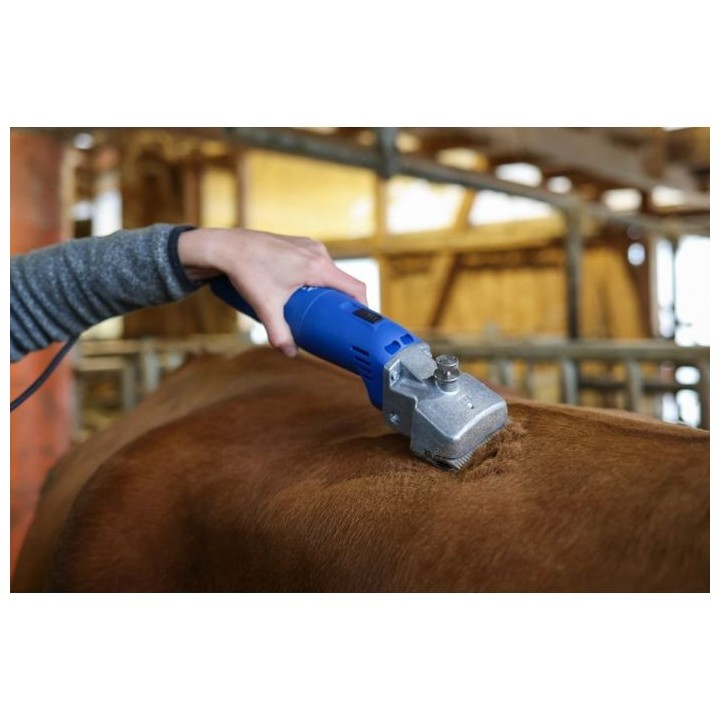 Tondeuse Econom II pour bovins et équins Aesculap