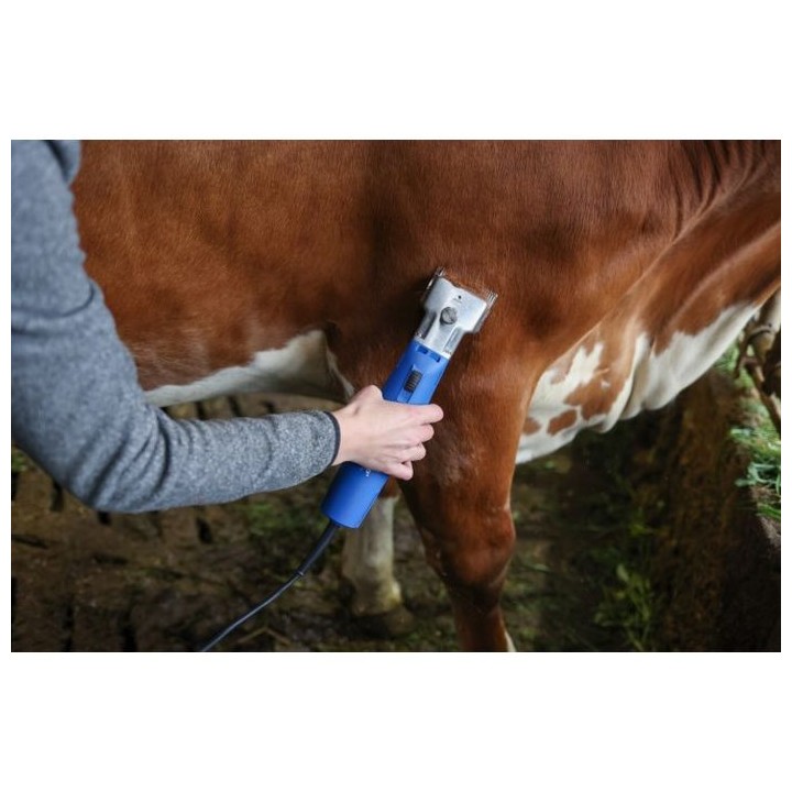 Tondeuse Econom II pour bovins et équins Aesculap