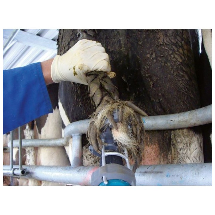 Tondeuse pour queues de vaches Standard TailWell
