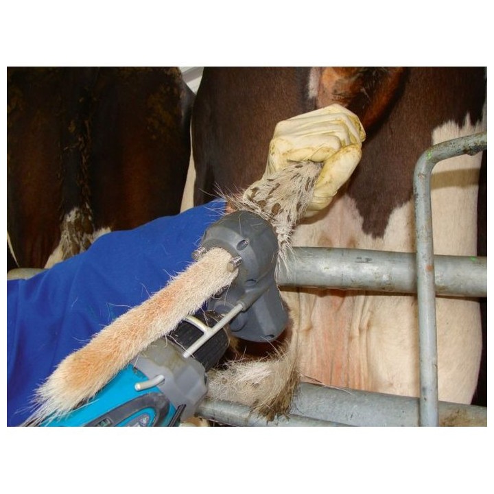 Tondeuse pour queues de vaches Standard TailWell