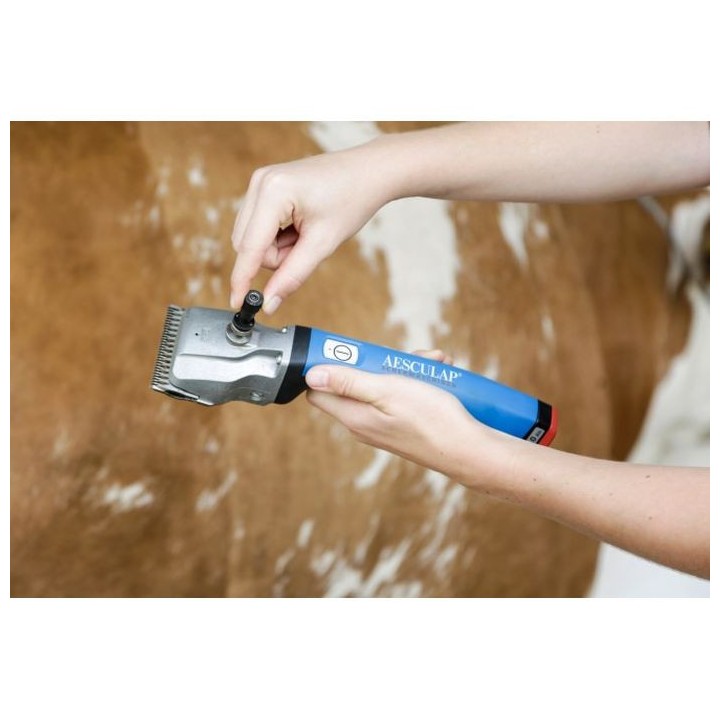 Accessoire de réglage pour tondeuse bovins / chevaux Torqui Aesculap