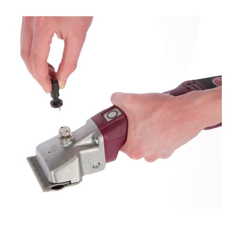 Accessoire de réglage pour tondeuse bovins / chevaux Torqui Aesculap