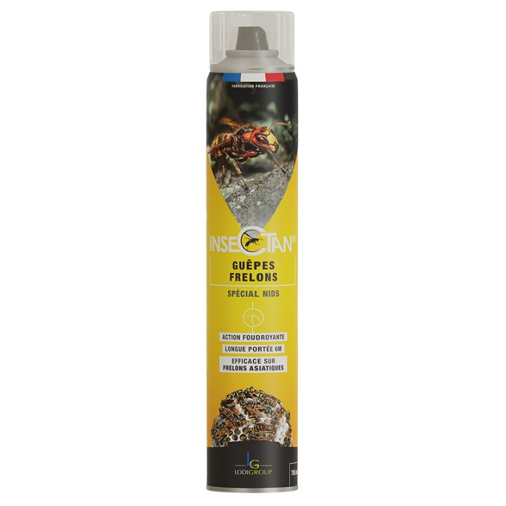 Insecticide INSECTAN guêpes et frelons, aérosol de 750 ml