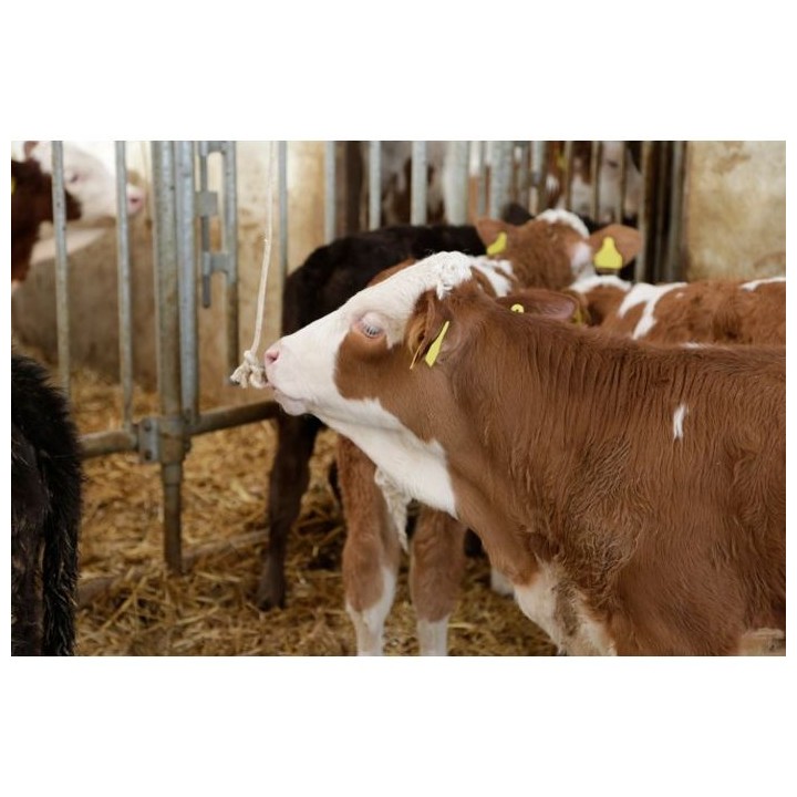 Corde à jouer en coton tressé longueur 100 m – épaisseur 20 mm Kerbl