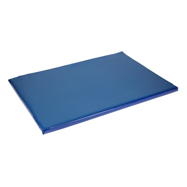 Tapis désinfectant bleu 8 L Kerbl