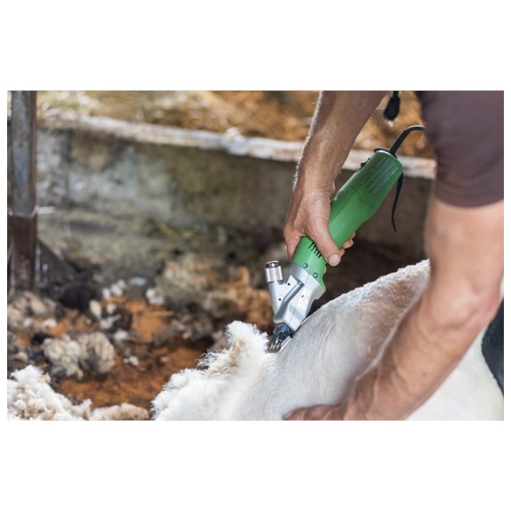 Tondeuse pour ovins et animaux très sales Constanta4