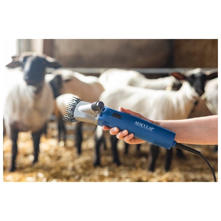 Tondeuse pour ovins Econom Nova Aesculap